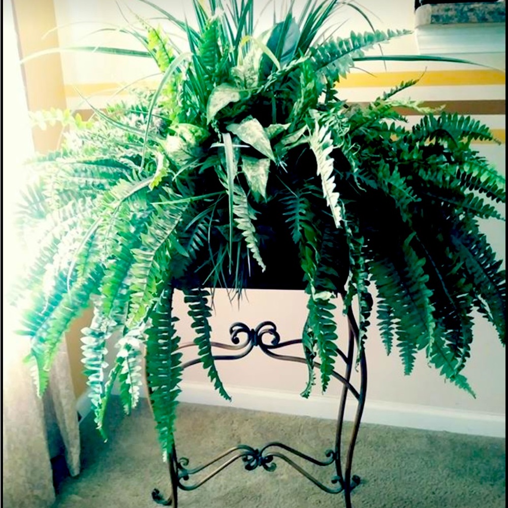 Meet your Posher, Kaykay